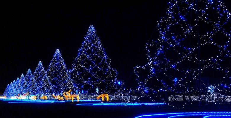Christmas Traditions Japan