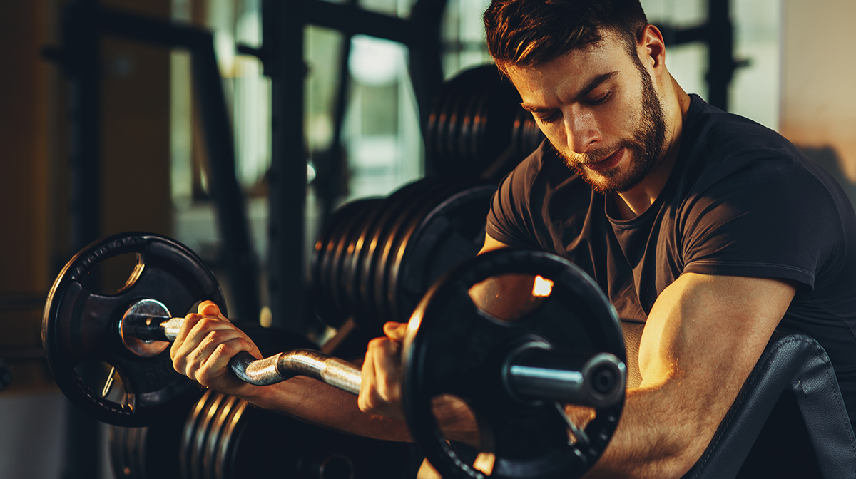 Bearded man preacher bicep curling e-z curl bar in gym