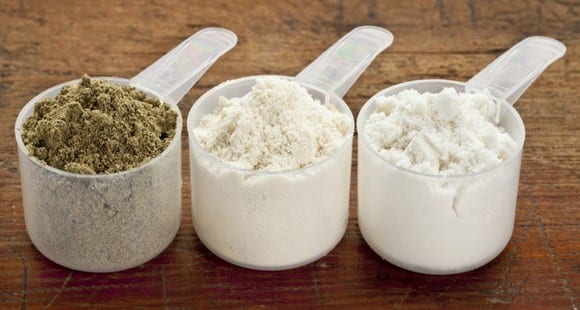 organic protein