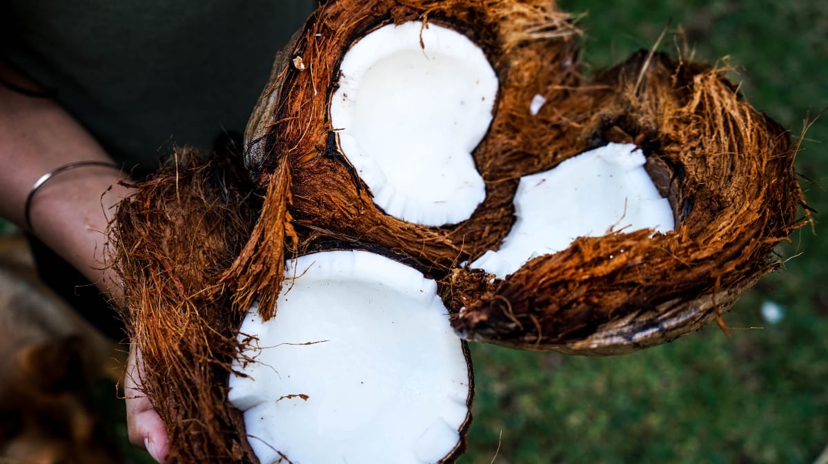 Kokosöl für die Haare: Die 5 besten Produkte