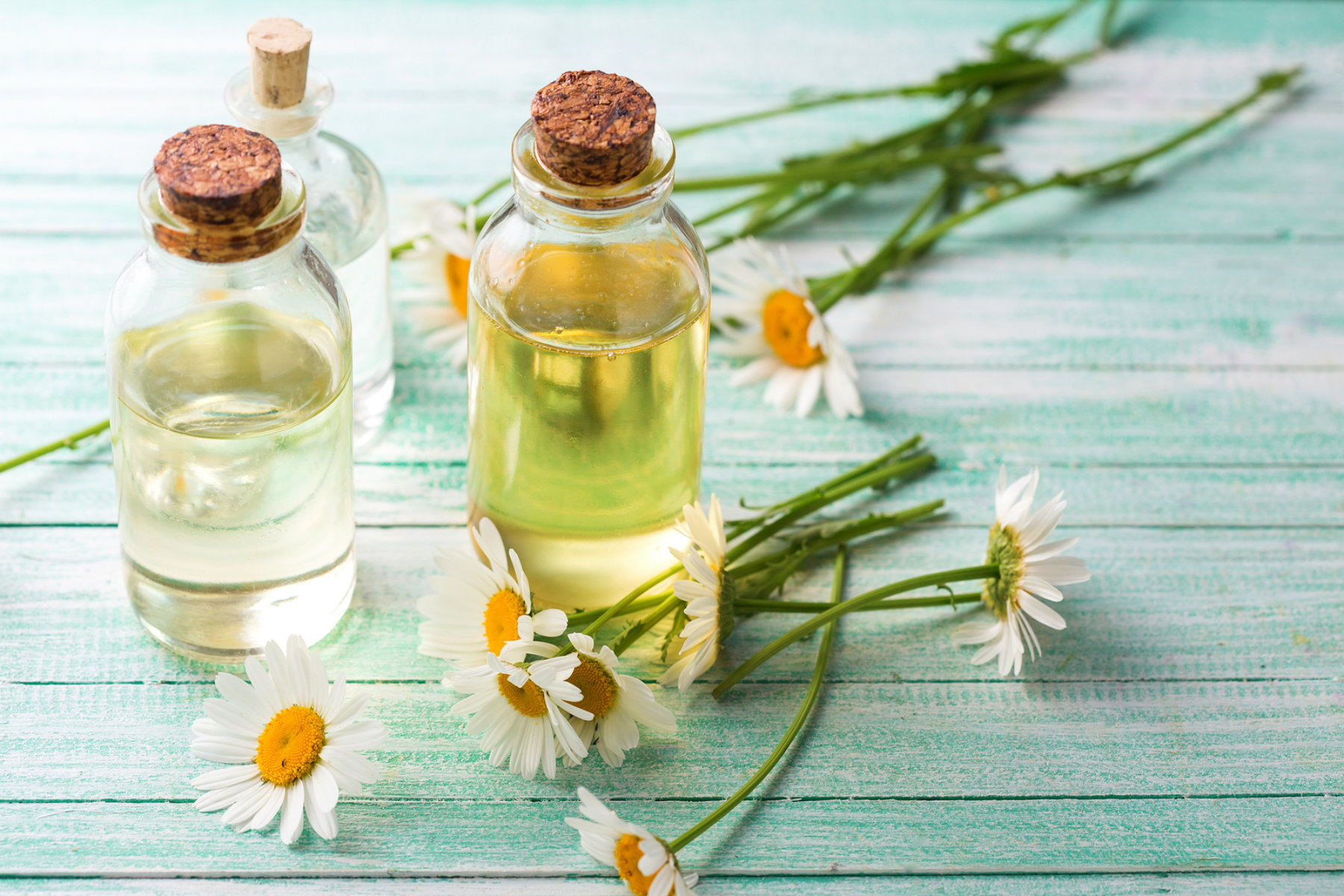 The Beauty Glossary: C is for Chamomile