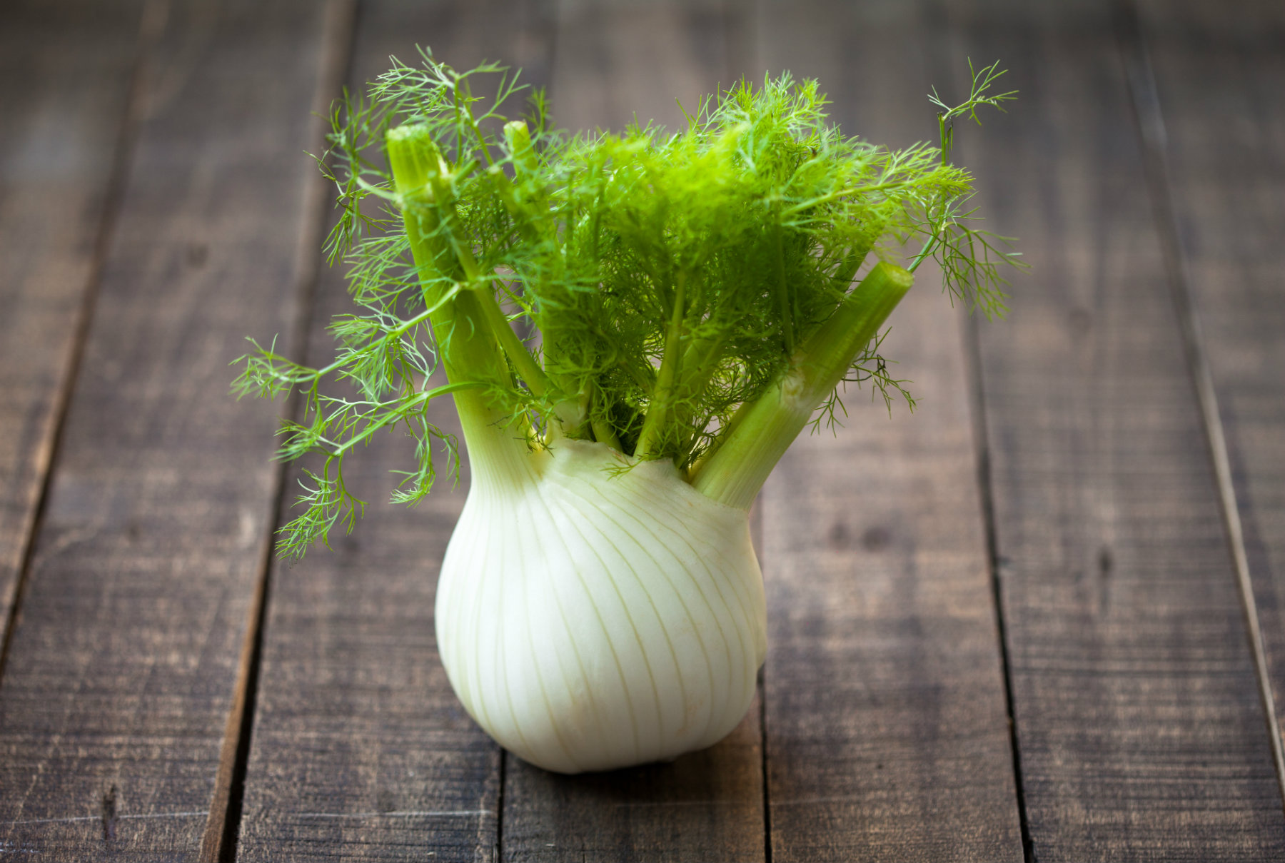 The Beauty Glossary: F is for Fennel