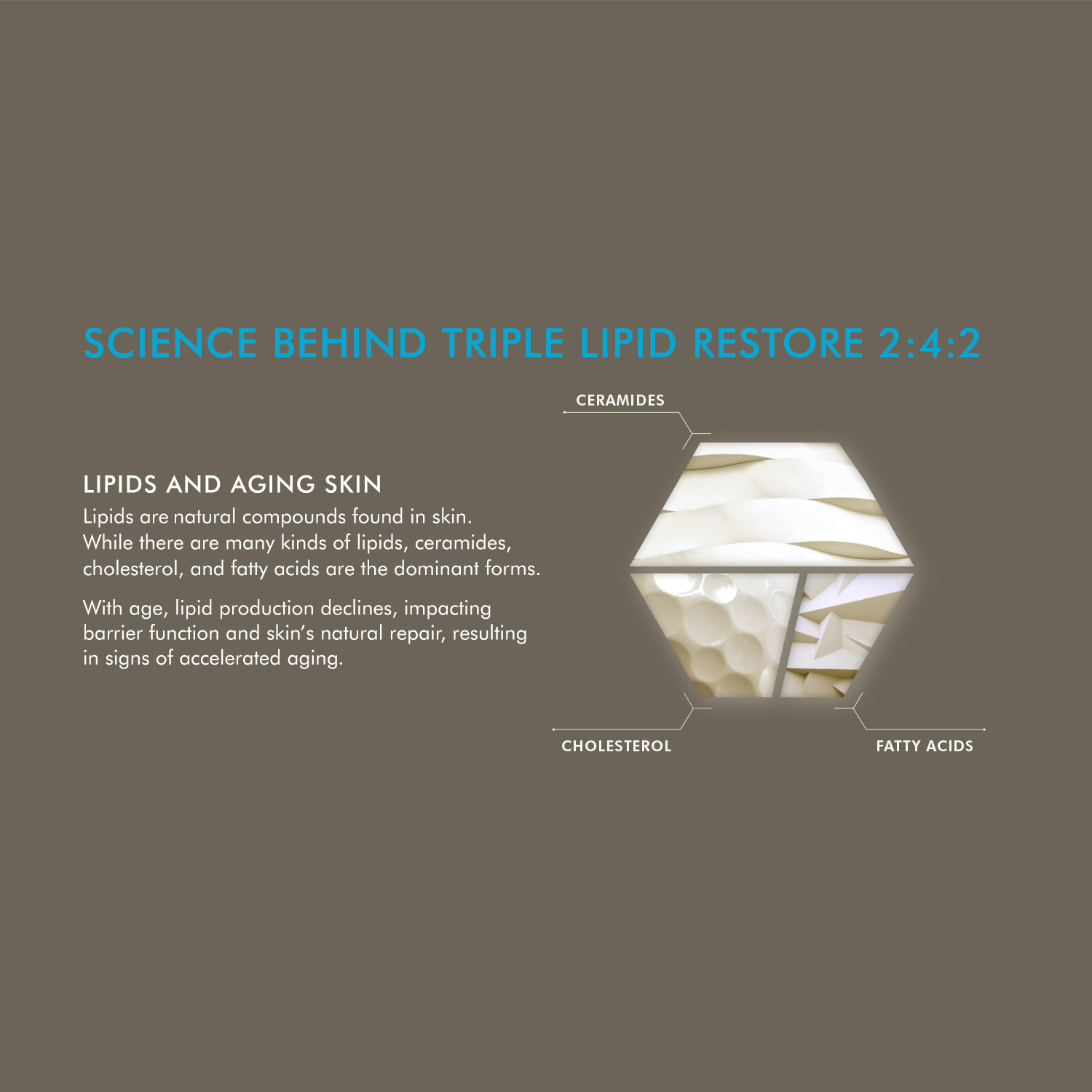 skinceuticals triple lipid restore 2:4:2
