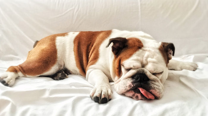 Hangover Skin Recovery Tips