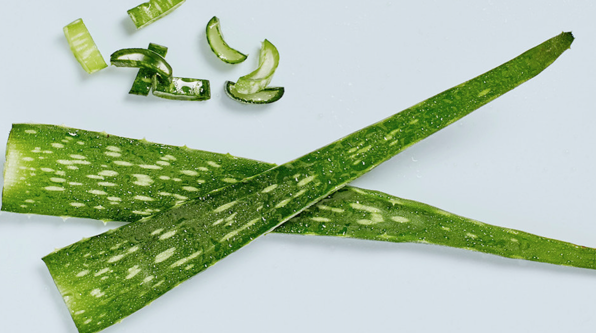 Why You Should Be Using Aloe Vera On Your Skin Everyday Skinstore Us