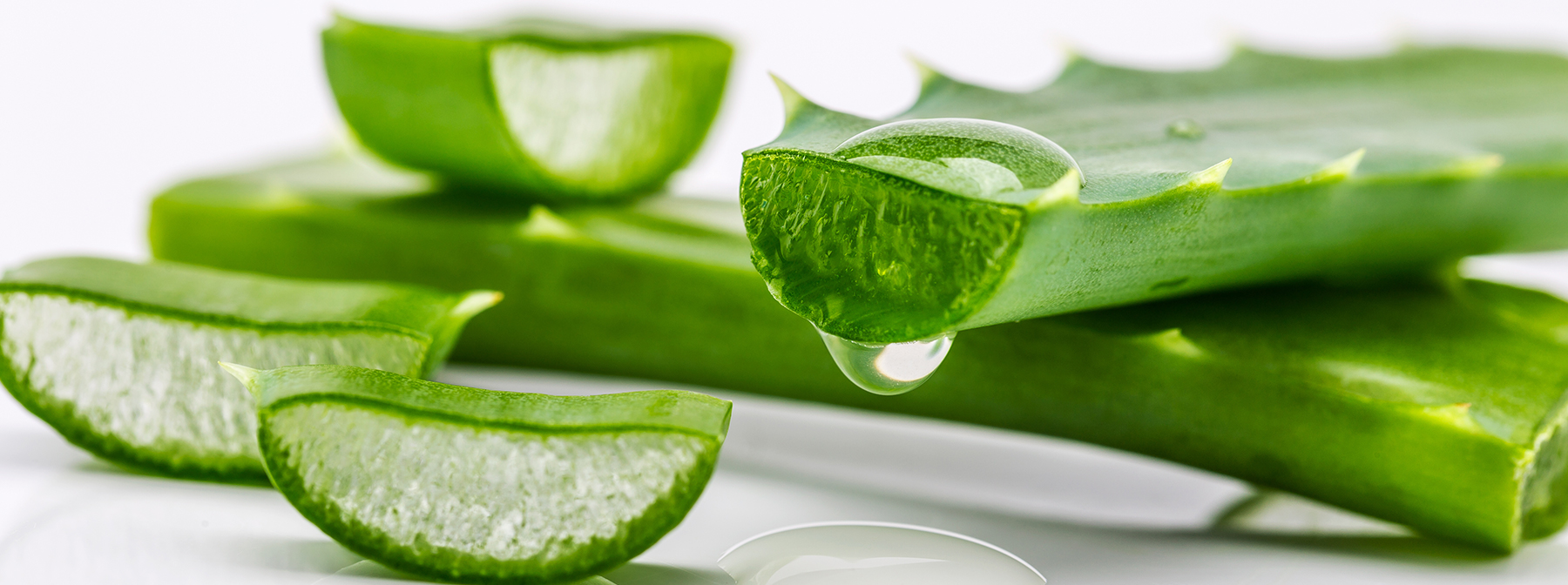 Thick, Green and Goopy: How Aloe Vera Can Do Wonders for Your Skin and Hair