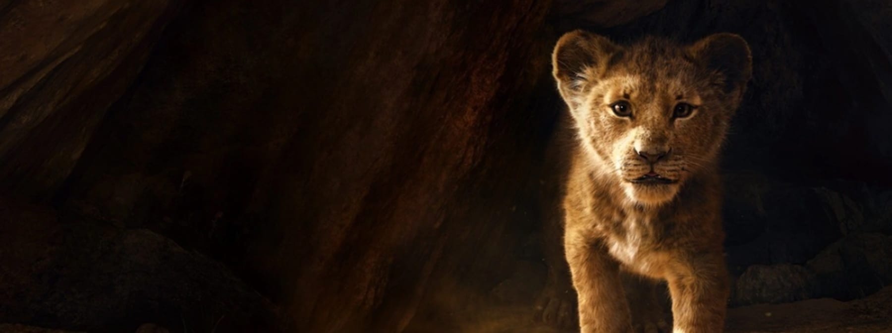 Moonlight Director Barry Jenkins Will Helm The Lion King Sequel For Disney