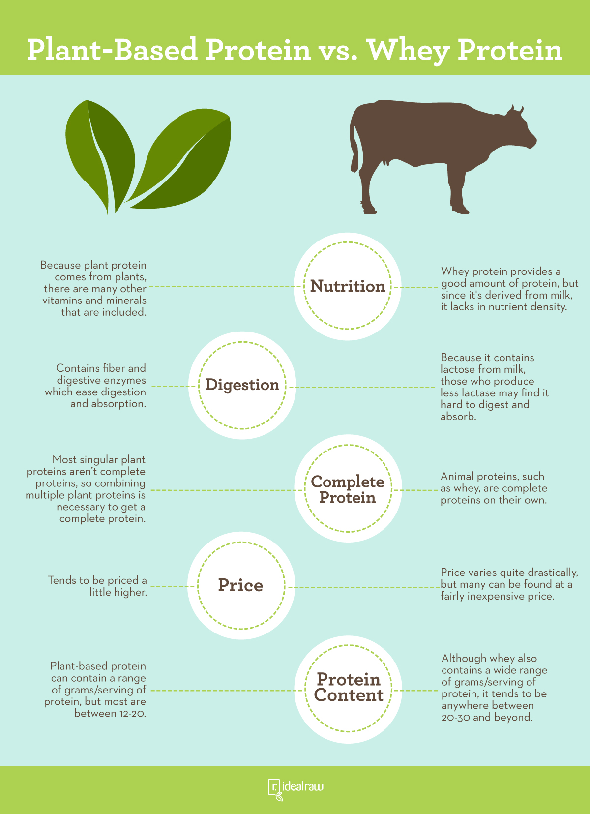 Plant Protein vs Whey Protein: What's Better For You? [INFOGRAPHIC] -  IdealRaw