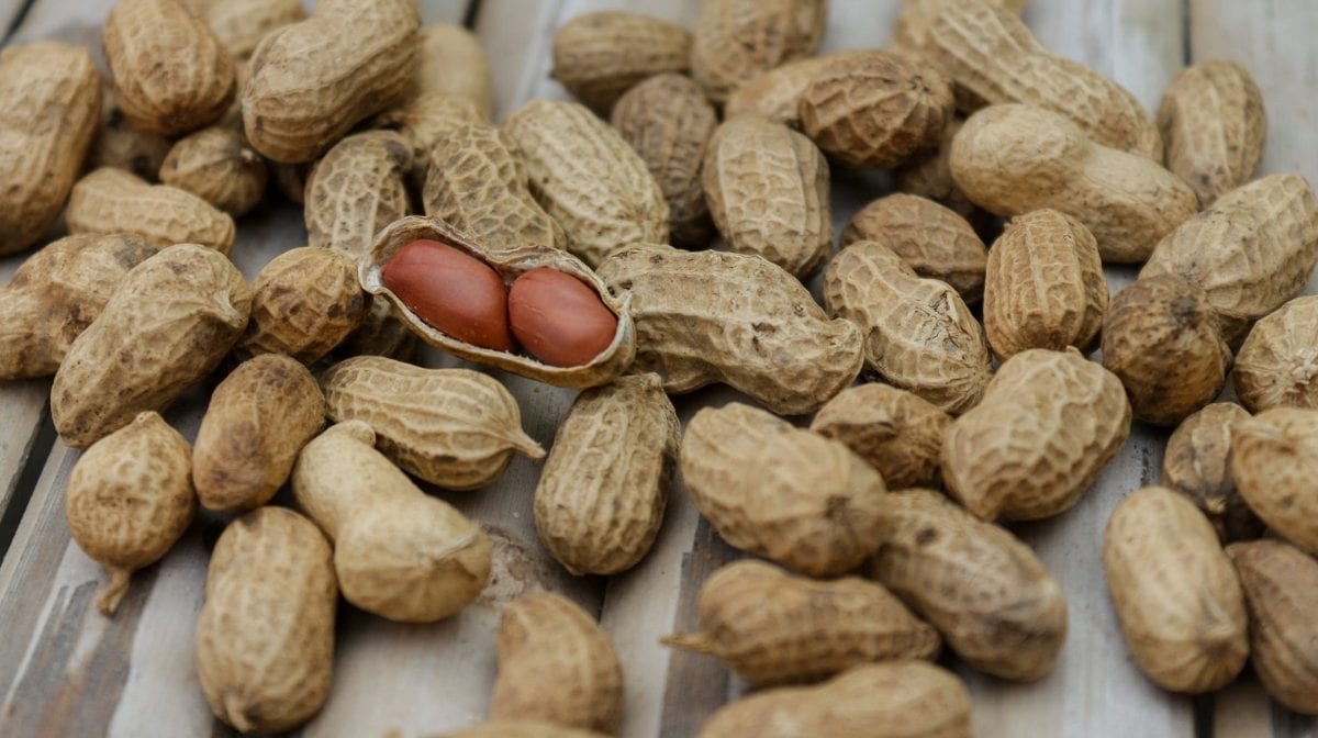 Le arachidi fanno ingrassare? Benefici e proprietà
