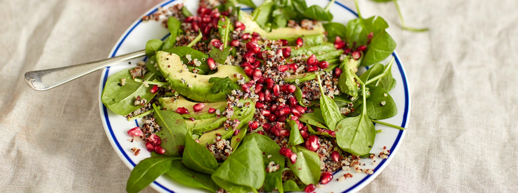 Ensaladas: guía completa de recetas saludables