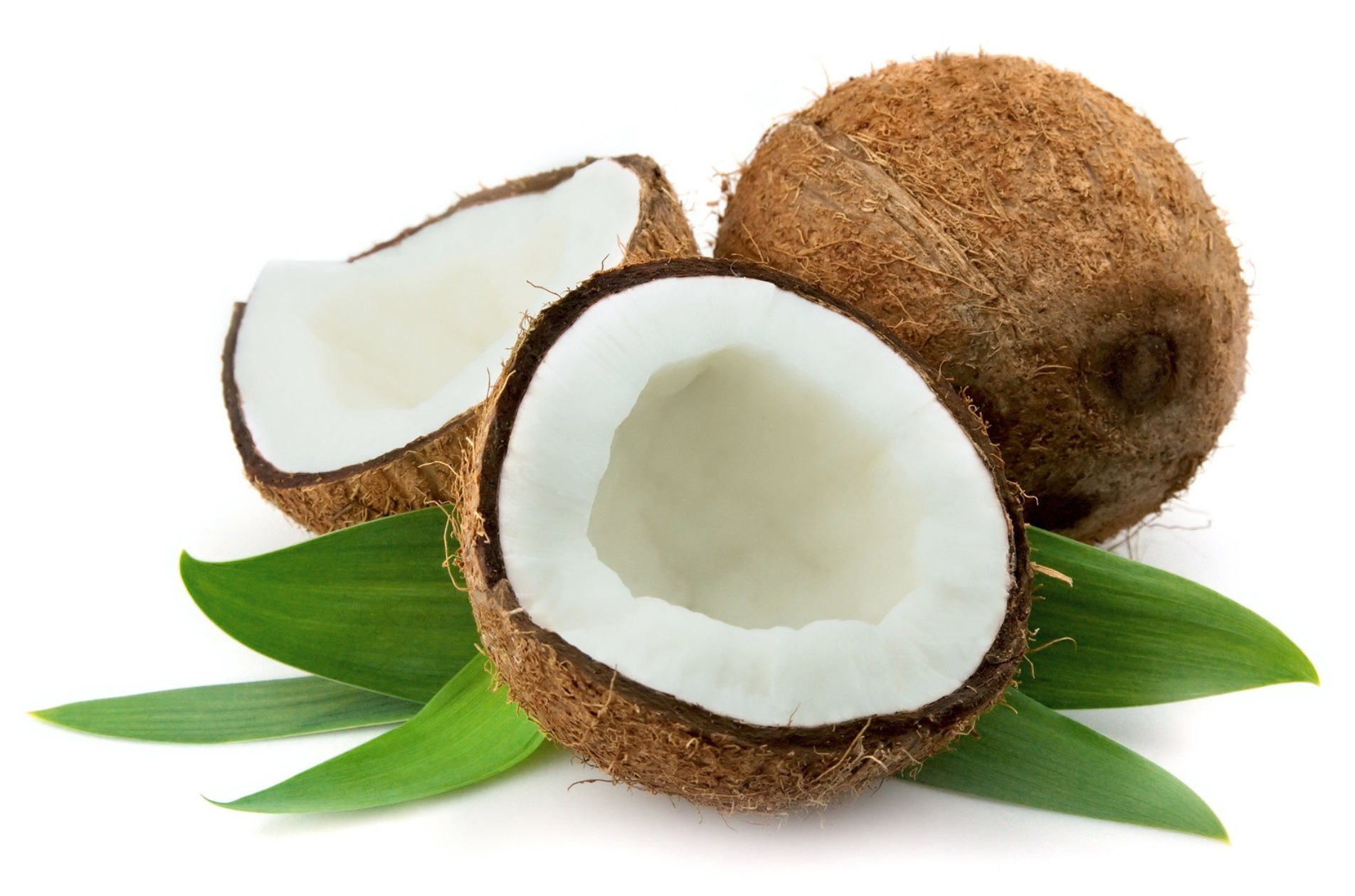 Pudra de nuca de cocos | Beneficii