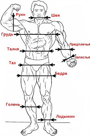 Сохранять пропорции до 1с