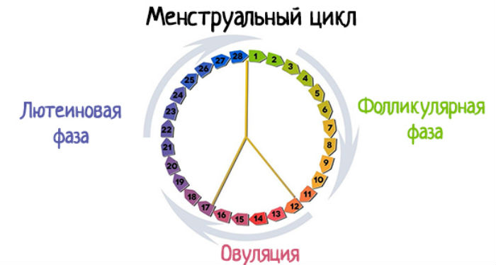 Используя циклы и процедуры нарисуйте узор