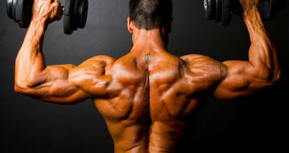 Лучшие упражнения для широчайших мышц спины (крыльев)