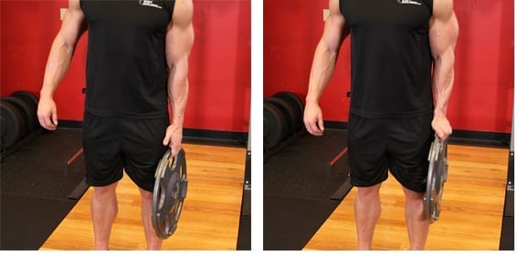 Standing Olympic Plate Stand squeeze