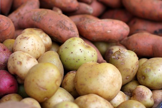 sweet potato vs white potato