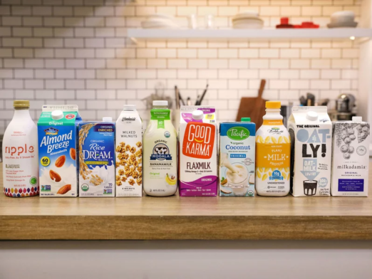 The Best Dairy Free Milk Alternatives | Pros & Cons