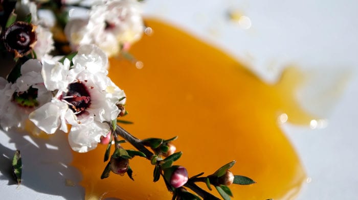 Skincare with Honey