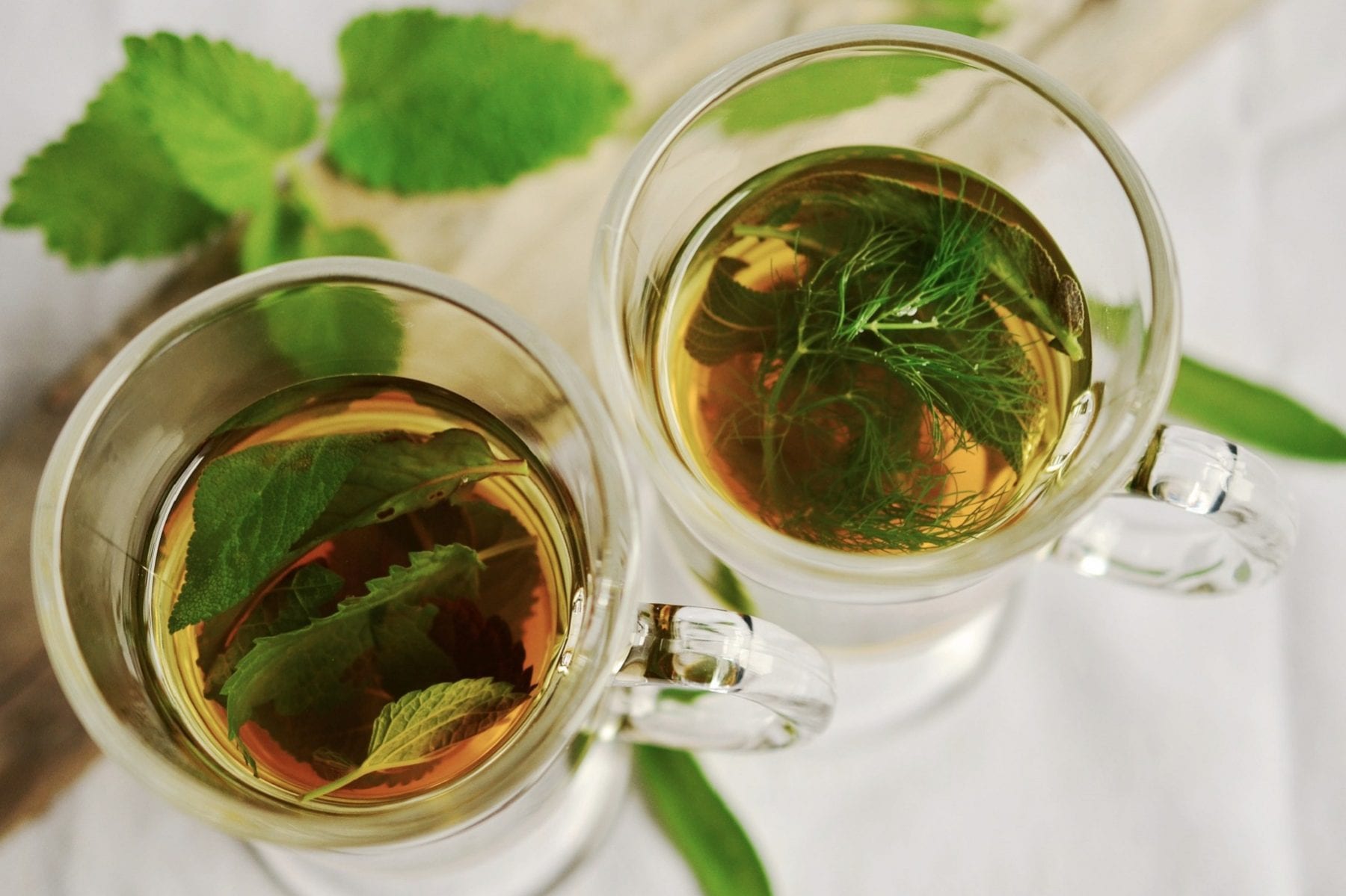 Qu’est-ce que le thé Moringa ? Découvrez ses 3 incroyables bienfaits santé
