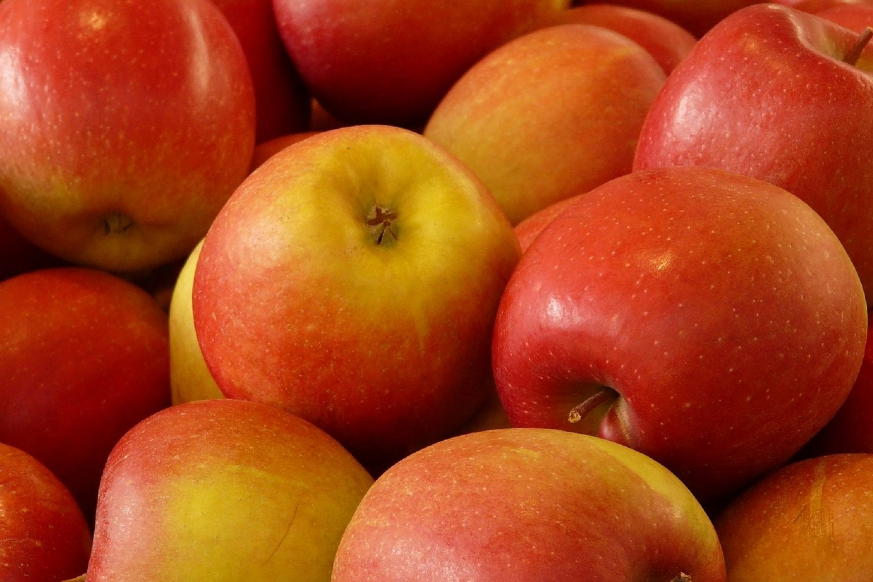 Apfel-Karotte Fitnesskuchen