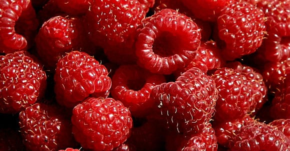 Fotos von Himbeeren