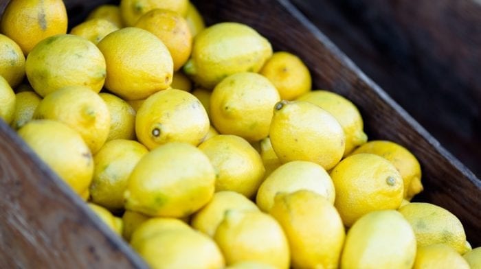 Rezept des Tages | Gesunde Zitronen Schoko-Kokos Schnitten