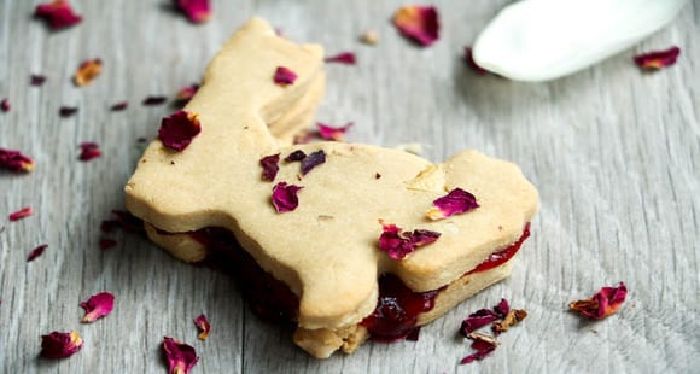 16 Protein Cookie Rezepte, um deinen Heißhunger zu stillen