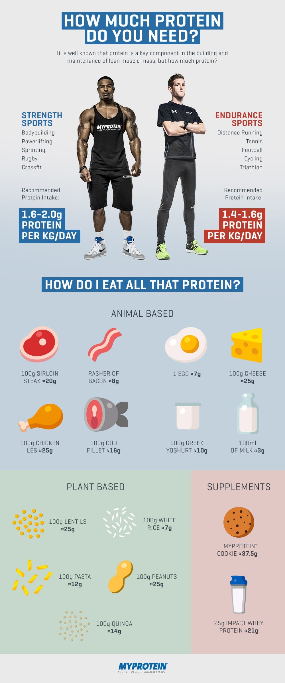 Cuantas veces al dia se debe tomar batidos de proteinas