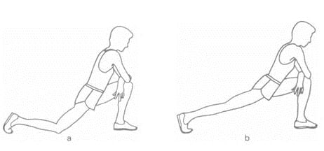 Musculo psoas como desbloquear Musculo psoas como desbloquear
