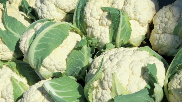Beneficios y Propiedades Nutritivas de la Coliflor