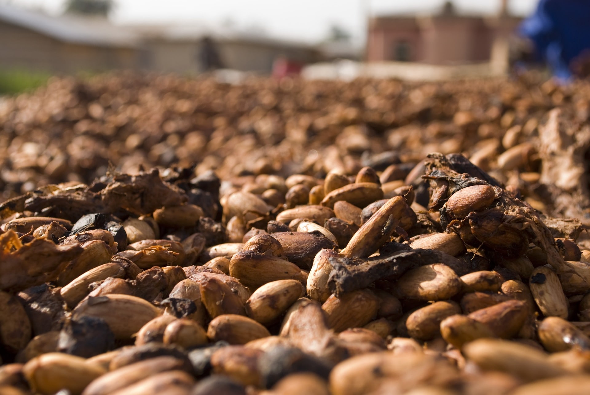 Qué son y para qué sirven los Nibs de Cacao | Receta de gachas de quinoa