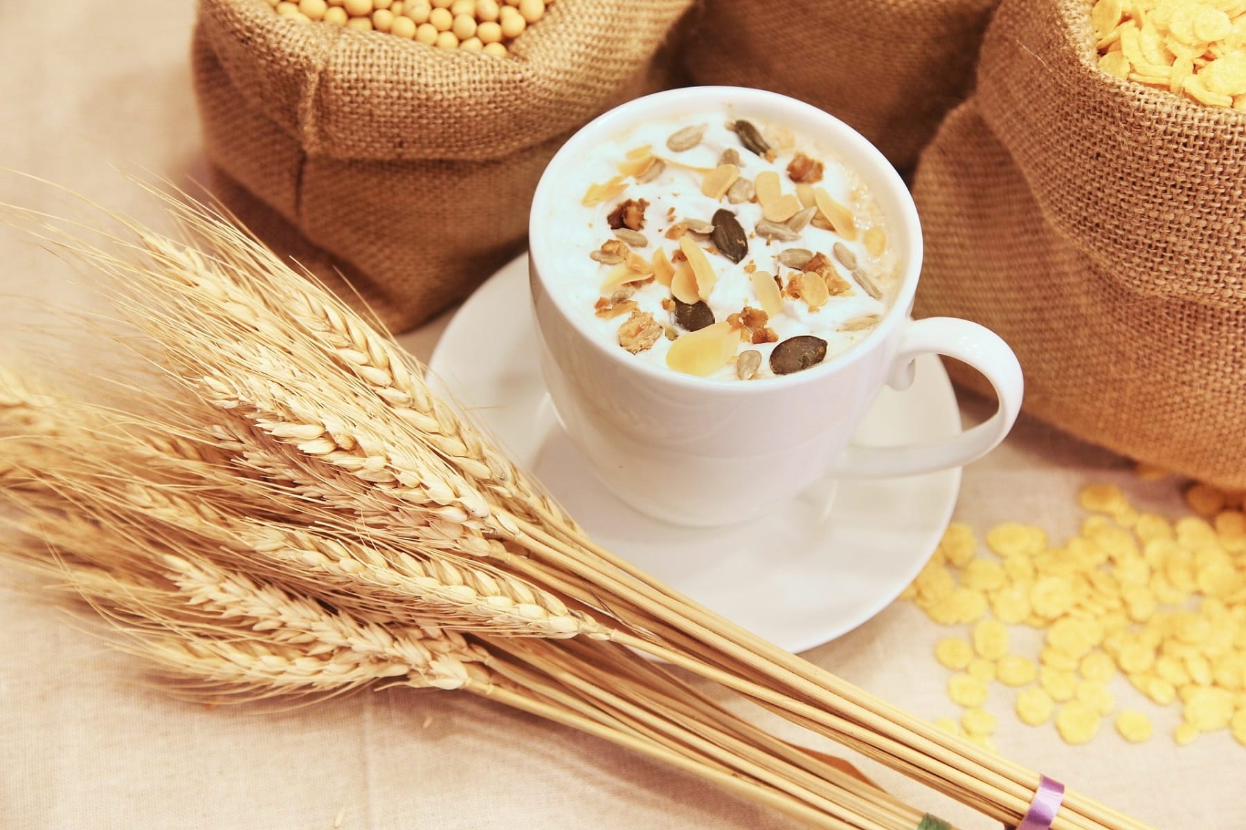 Son realmente saludables los cereales integrales? (Parte I) ⋆ Fitness  Revolucionario