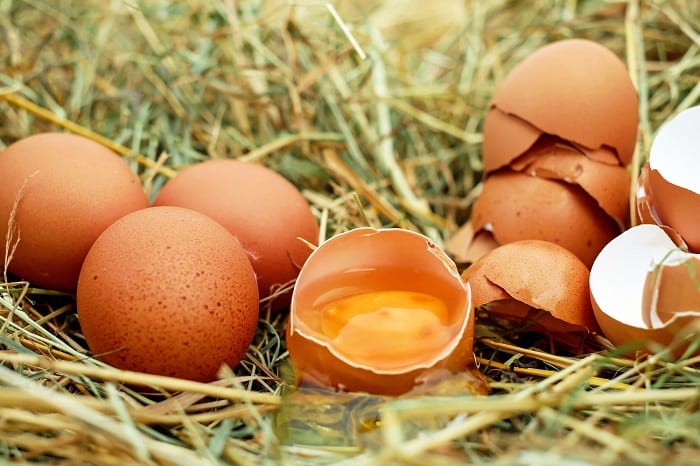 ¿Cuánta Proteína tiene un Huevo? Beneficios y Propiedades