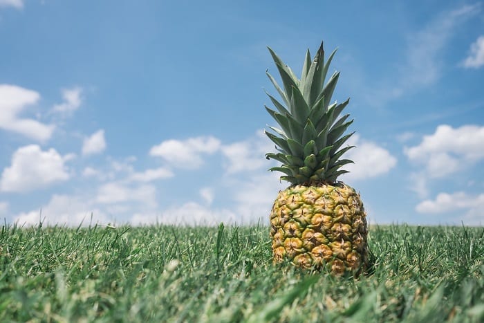 ¿Qué es la Bromelina o Bromelaína?