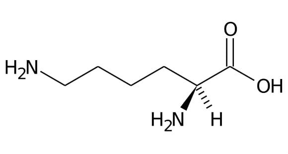 2000px-Amminoacido_lisina_formula