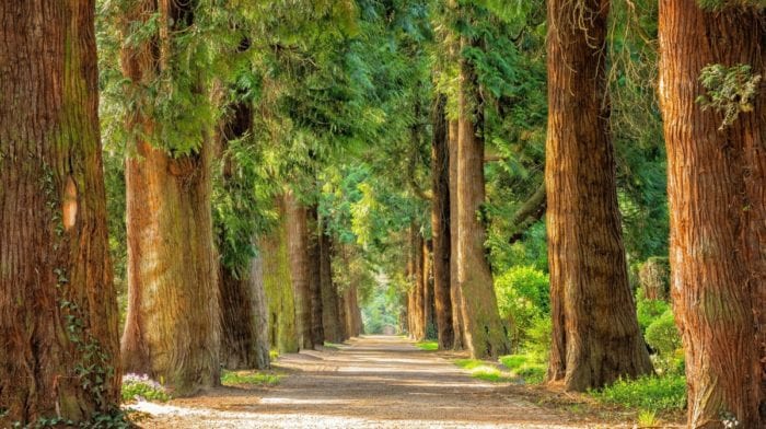 Allenamento al parco | 5 esercizi che devi conoscere