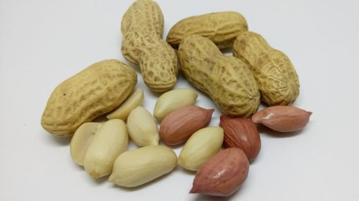 La frutta secca fa ingrassare? | Quello che c’è da sapere