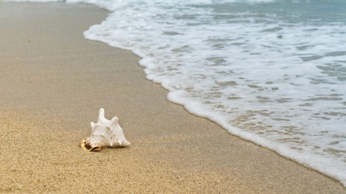 Correre Sulla Sabbia | Vantaggi E Svantaggi