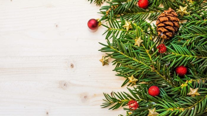 Giorno 12 | Come Sollevare Un Albero di Natale? Deadlift