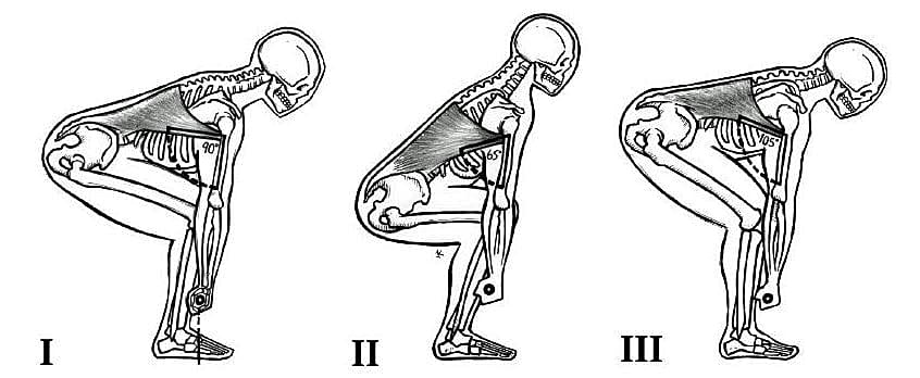 Levantamento terra ou peso morto (deadlift): As 10 melhores