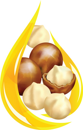 Have You Gone Nutty: Macadamia Oil for Hair