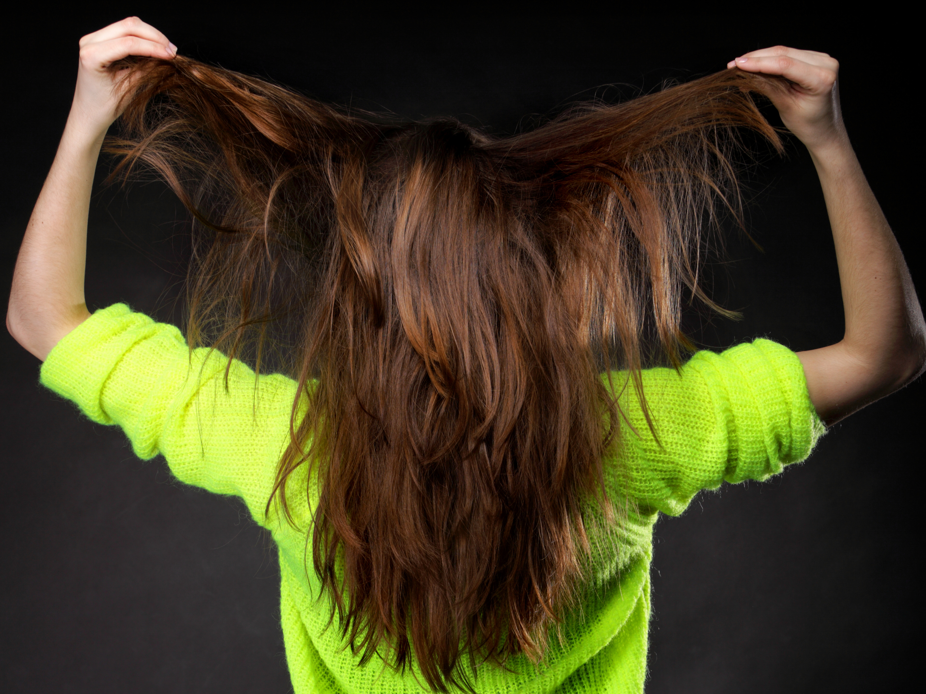 Beautiful female brown long healthy loose hair back view on black background