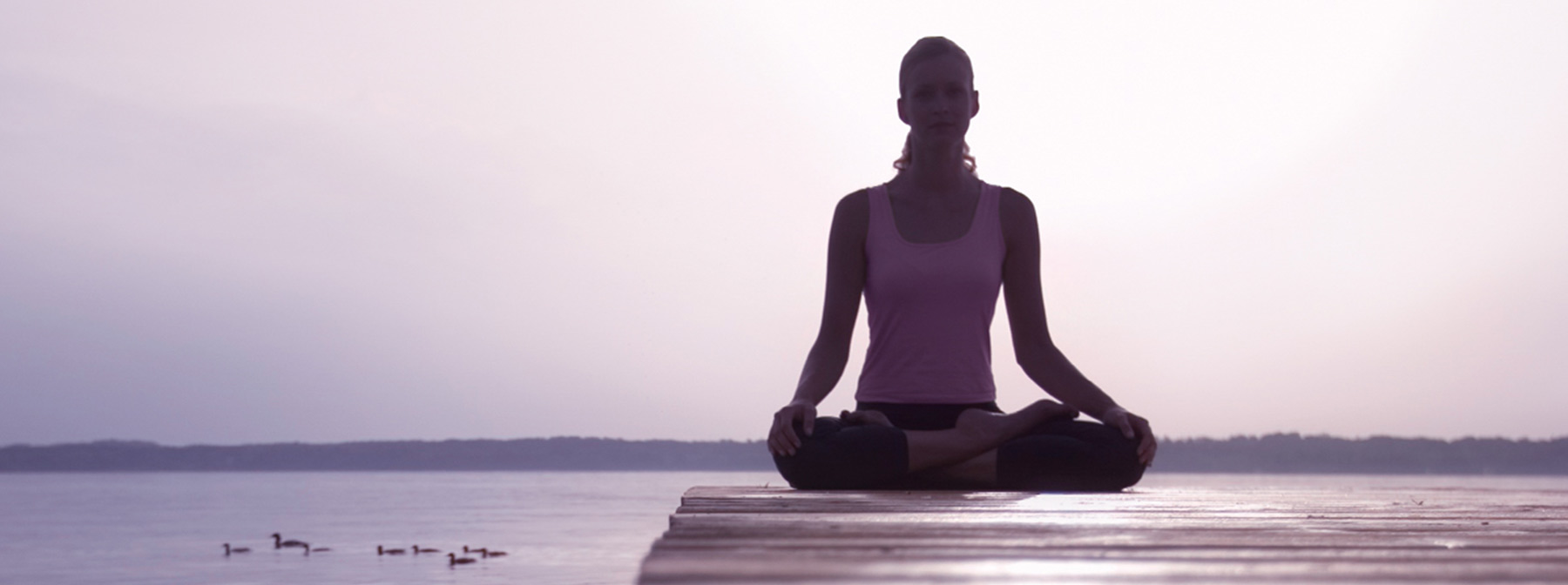 Why Meditate?