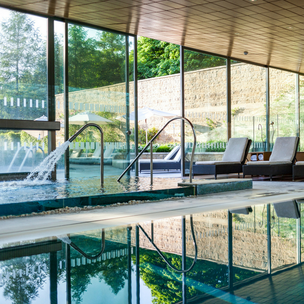 Indoor pools overlooking the garden