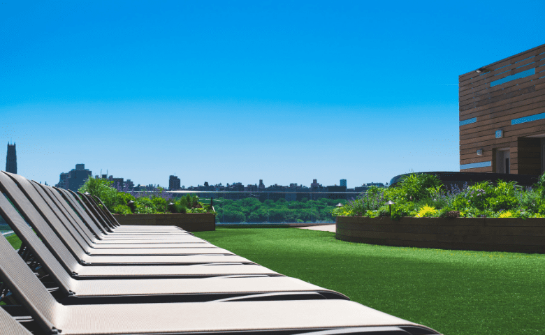 Rooftop garden overlooking New York City