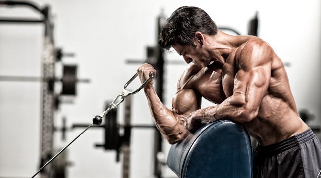 How To Get Bigger Biceps  7 Easy Steps - MYPROTEIN™