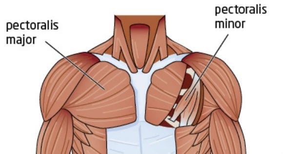 Chest Workout 5 Exercises To Build The Upper Chest Myprotein