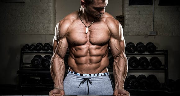 Secrets to Building BIG Arms  Arm muscle anatomy, Arm muscles