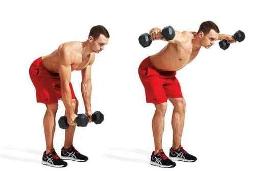 bent over lateral raise 