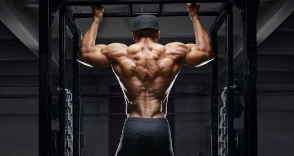 100 Best Back Workouts and Exercises ideas